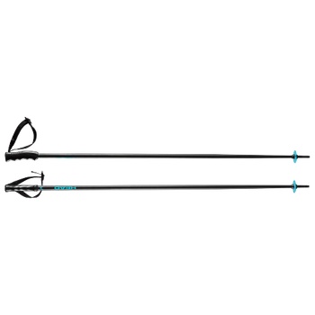 Ski poles HEAD Multi Black Speed Blue - 2023/24