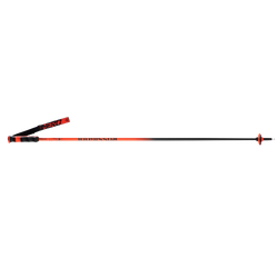 Skistöcke Rossignol Hero Carbon - 2025/26