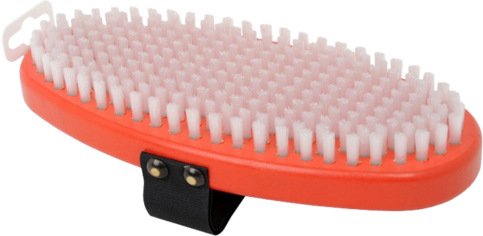 Szczotka SWIX Brush Oval White Nylon