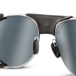 Sunglasses Julbo Cham Argent/Havana