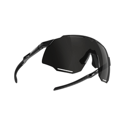 Okulary Dynafit Alpine Sunglasses Black Out/Nimbus- 2025/26