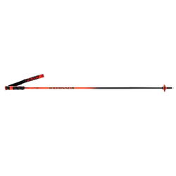 Skistöcke Rossignol Hero Carbon - 2025/26