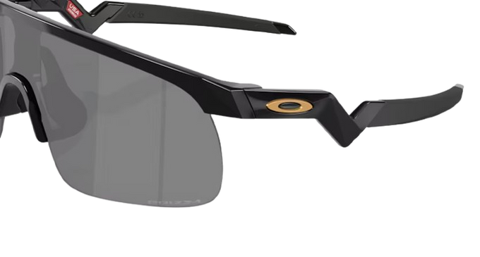 Sonnenbrille Oakley Resistor Polished Black Frame / Prizm Black Lenses