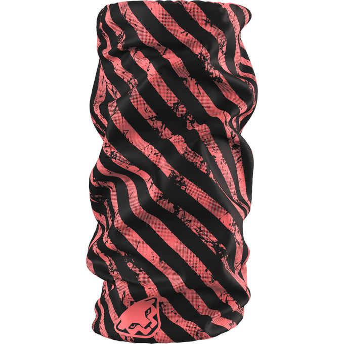 Komin Dynafit Graphic Neck Gaiter Cabana/Trail - 2025/26