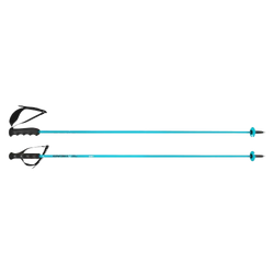 Kije HEAD Worldcup Rebels Carbon Speed Blue - 2025/26