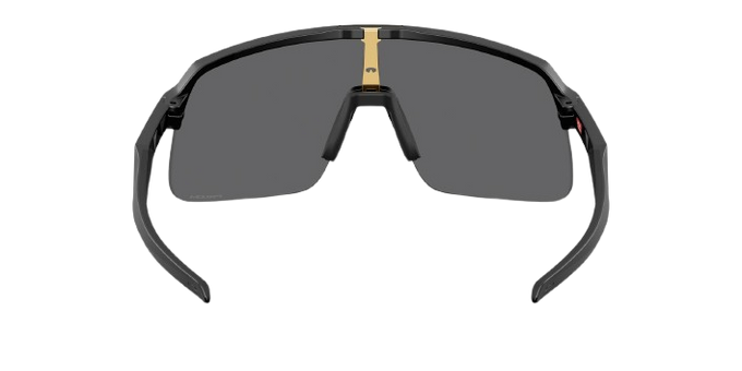 Sonnenbrille Oakley Sutro Lite S PC Matte Blsck Frame/Prizm Black Lenses