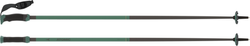 Ski poles Atomic Redster Q Carbon SQS Green - 2025/26