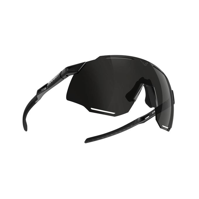 Sunglasses Dynafit Alpine Sunglasses Black Out/Nimbus- 2025/26