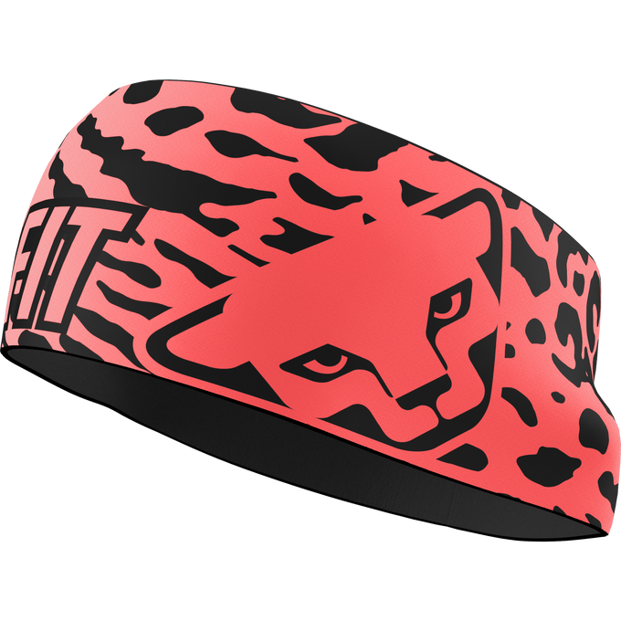 Headband Dynafit Graphic Performance Headband Ultra Coral/Leo - 2025/26