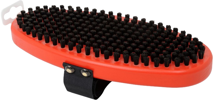 Szczotka SWIX Brush Oval Horsehair