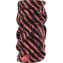 Komin Dynafit Graphic Neck Gaiter Cabana/Trail - 2025/26