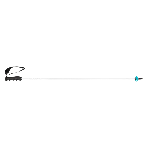 Kije HEAD Worldcup Rebels Carbon White - 2025/26