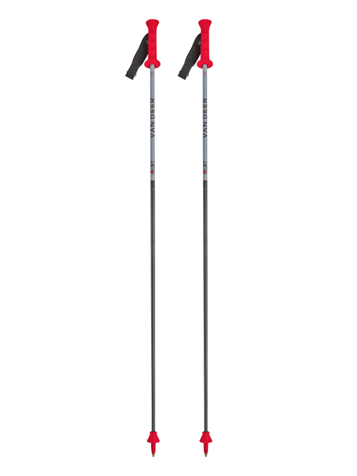 Poles Van Deer Race GS Carbon - 2025/26