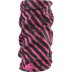 Nackenwärmer Dynafit Graphic Neck Gaiter Cheeky Pink/Trail - 2025/26