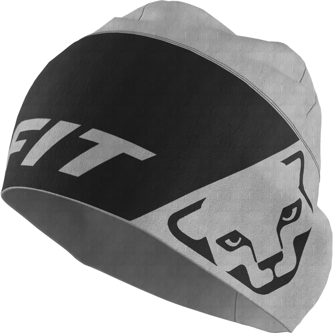 Czapka Dynafit Upcycled Speed Polartec Beanie Quiet Shade - 2025/26