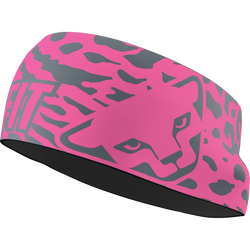 Stirnband Dynafit Graphic Performance Headband Cheeky Pink/Leo - 2025/26