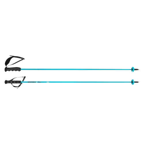 Kije HEAD Worldcup Rebels Carbon Speed Blue - 2025/26