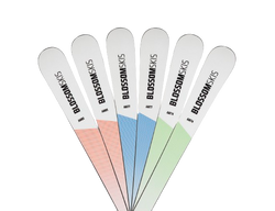 Skis Blossom Skis Turbo AM77 Multiflex PR Base + PRD 12 - 2024/25