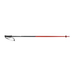 Skistöcke Nordica Dobermann Race Black Red - 2025/26