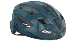 Teal Shiny