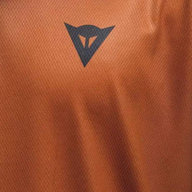 Cycling Jersey Dainese HGL Jersey LS Monk's-Robe - 2023