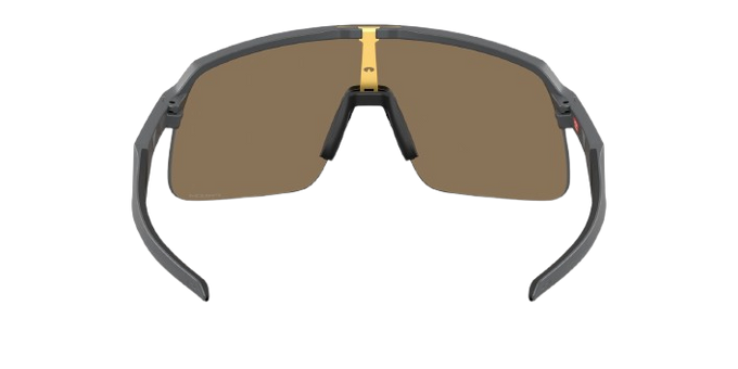 Sonnenbrille Oakley Sutro Lite S Matte Carbon Frame/Prizm 24K Lenses