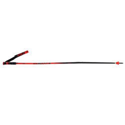 Ski poles Rossignol Hero GS-SG - 2025/26
