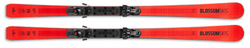 Ski Blossom Skis Numero Uno XC WCR 14 - 2025/26