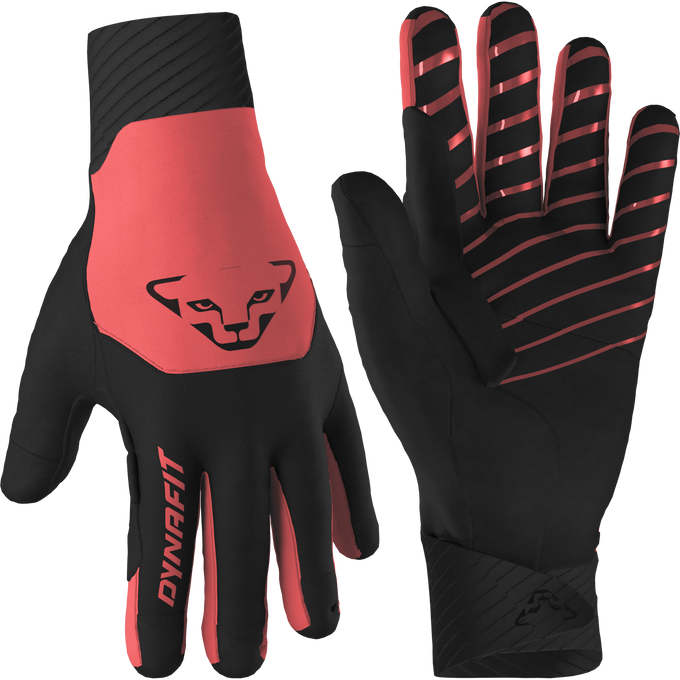 Rękawice Dynafit Blacklight Softshell Gloves Cabana - 2025/26